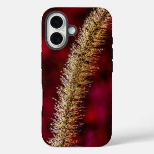 Funda iPhone 16 Morning Dew