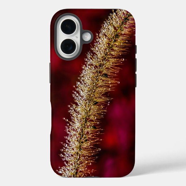 Funda iPhone 16 Morning Dew (Reverso )