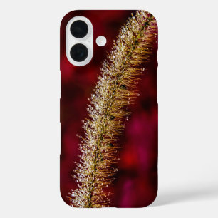 Funda iPhone 16 Morning Dew