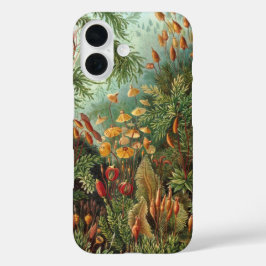Funda iPhone 16 Muscinae vintage, plantas de musgo por Ernst Haeck