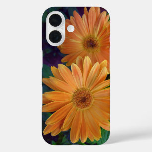Funda iPhone 16 Naranja Daisy
