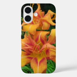 Funda iPhone 16 Naranja Daylily Blooms