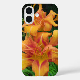 Funda iPhone 16 Naranja Daylily Blooms