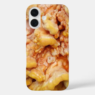 Funda iPhone 16 Naranja Fungus