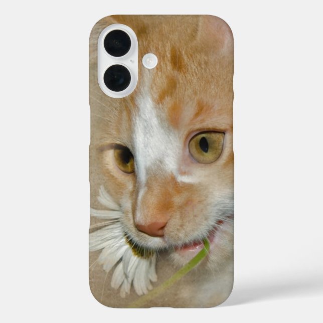 Funda iPhone 16 No comas el marimacho (Reverso )