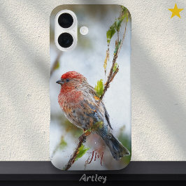 Funda iPhone 16 Nombre personalizado de pintura de pájaros finch d