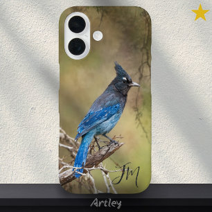 Funda iPhone 16 Nombre personalizado de pintura de pájaros Jay Ste