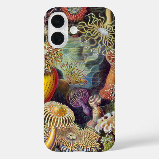 Funda iPhone 16 Océano marino Anemone Científico (Reverso )