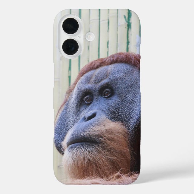 Funda iPhone 16 Orangután sentado... (Reverso )