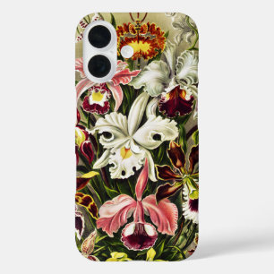 Funda iPhone 16 Orquídeas Orchideae Denusblumen Ernst Haeckel