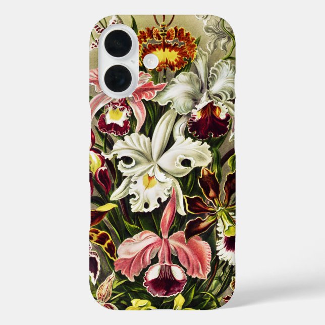Funda iPhone 16 Orquídeas Orchideae Denusblumen Ernst Haeckel (Reverso )
