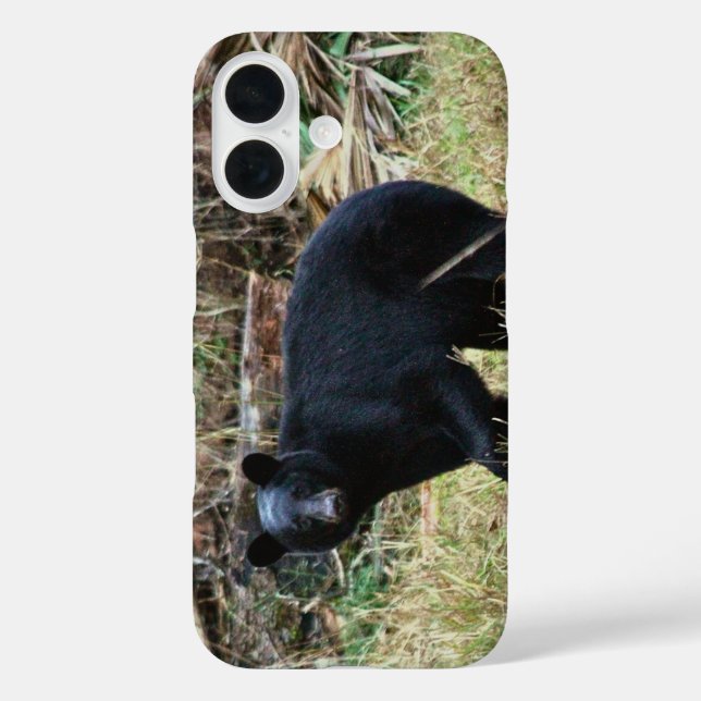 Funda iPhone 16 Oso Negro de Florida (Reverso )