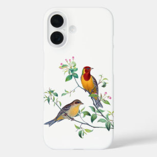 Funda iPhone 16 Pájaros escribiendo en ramas