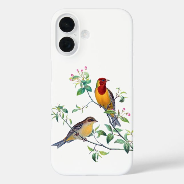 Funda iPhone 16 Pájaros escribiendo en ramas (Reverso )