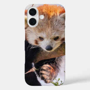 Funda iPhone 16 Panda rojiza perezosa