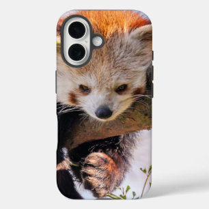 Funda iPhone 16 Panda rojiza perezosa