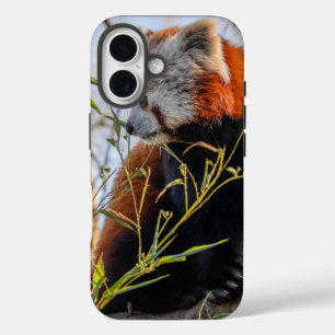 Funda iPhone 16 Panda rojo