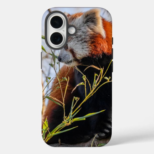 Funda iPhone 16 Panda rojo (Reverso )