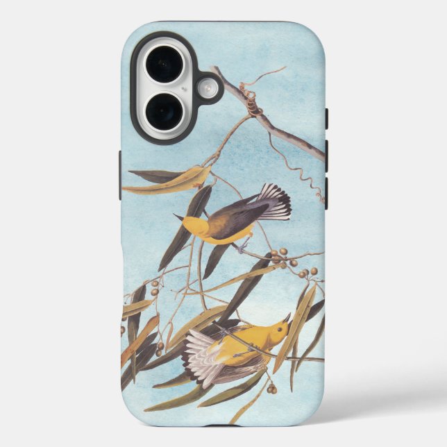 Funda iPhone 16 Par de pájaro prothonotario amarillo de Audubon (Reverso )