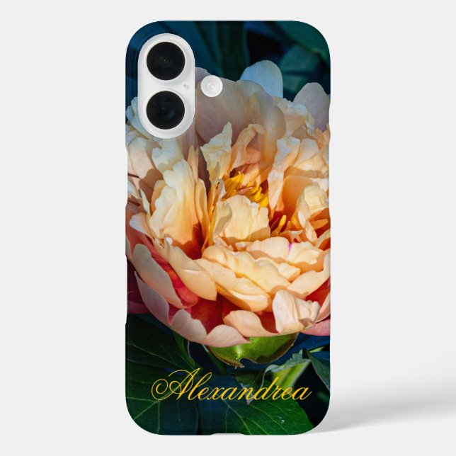 Funda iPhone 16 Peach Peony - Fotografía romántica de las flores (Reverso )