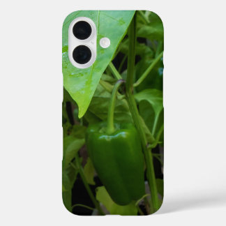 Funda iPhone 16 Peppers verdes