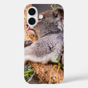 Funda iPhone 16 Pequeña koala dulce