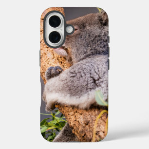 Funda iPhone 16 Pequeña koala dulce