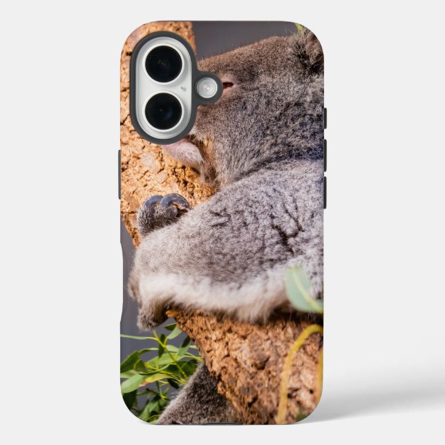 Funda iPhone 16 Pequeña koala dulce (Reverso )