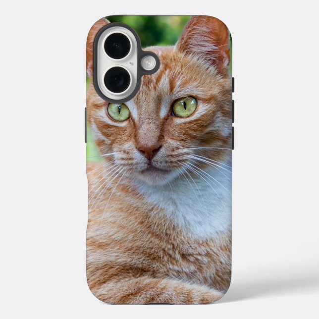 Funda iPhone 16 Pequeño gatito dulce (Reverso )