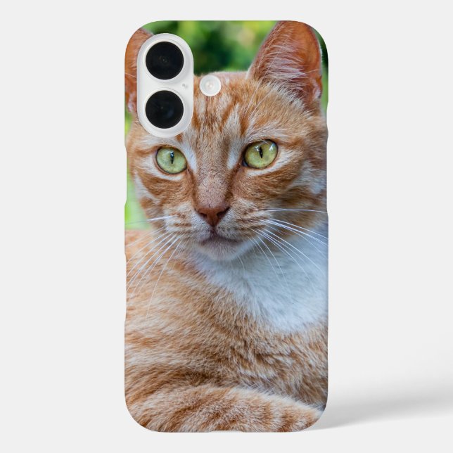 Funda iPhone 16 Pequeño gatito dulce (Reverso )