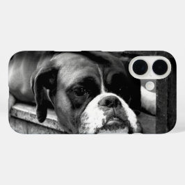 Funda iPhone 16 Perro Boxer En Windowsill iphcnm