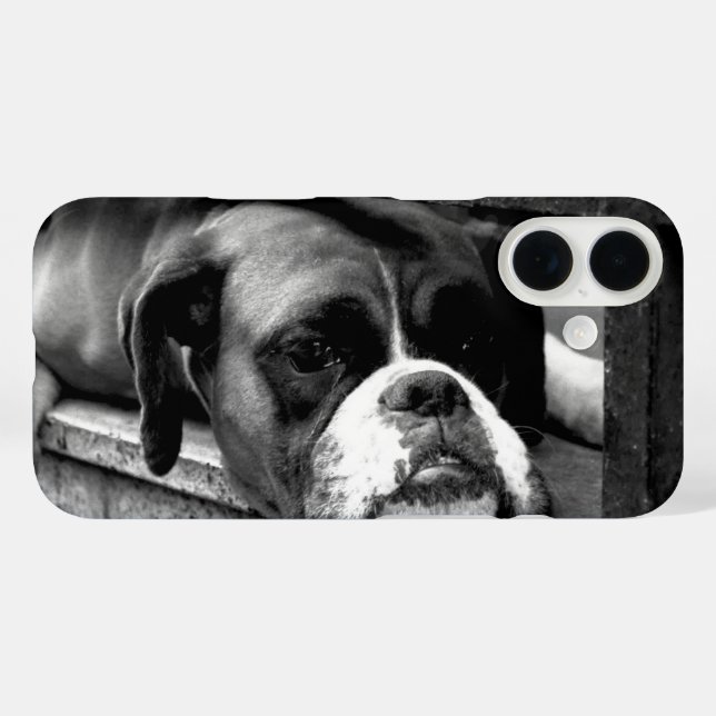 Funda iPhone 16 Perro Boxer En Windowsill iphcnm (Reverso (Horizontal))