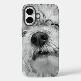 Funda iPhone 16 Perro Coton de Tulear