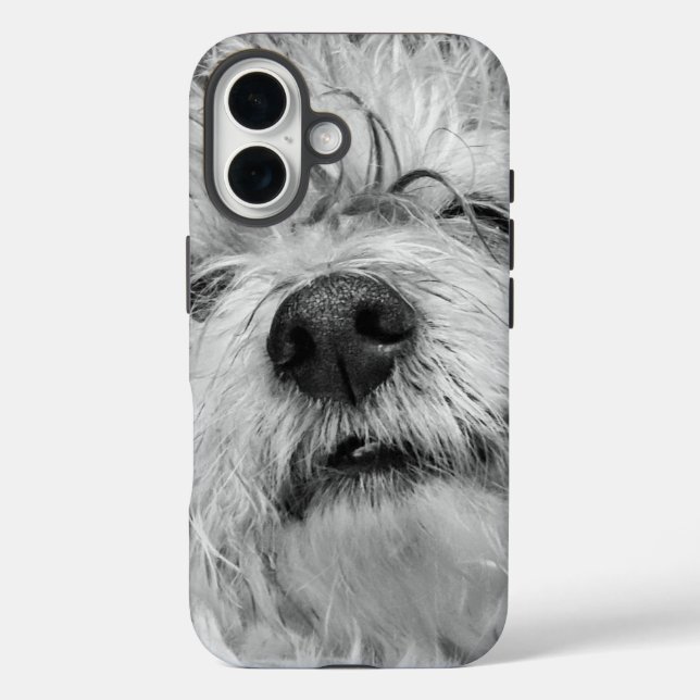 Funda iPhone 16 Perro Coton de Tulear (Reverso )
