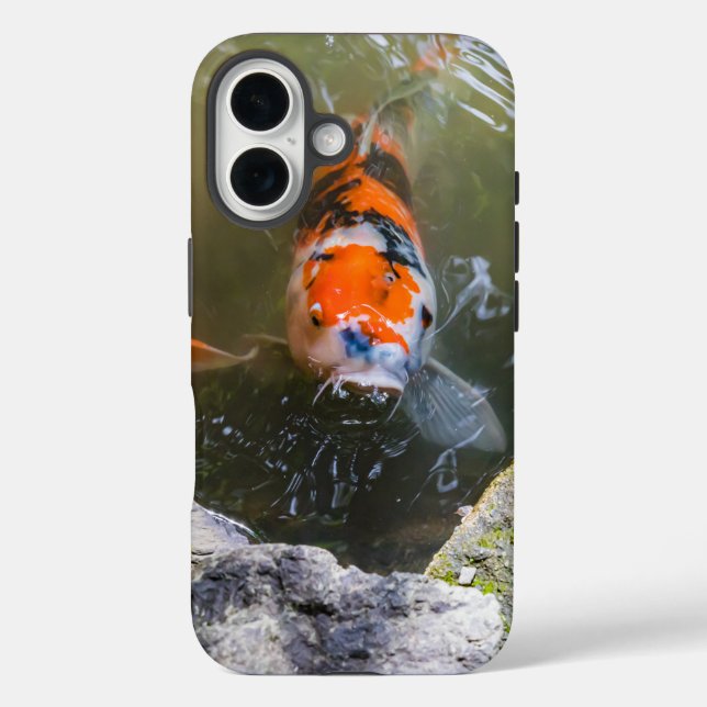Funda iPhone 16 Pescado de Koi en un estanque (Reverso )