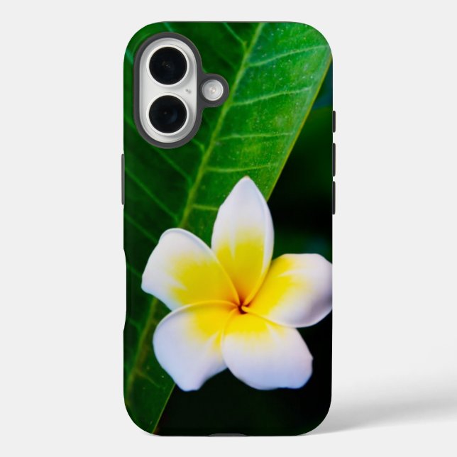Funda iPhone 16 plumeria (Reverso )