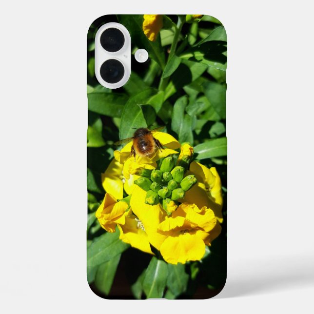 Funda iPhone 16 Plus Abeja a las flores amarillas (Reverso )