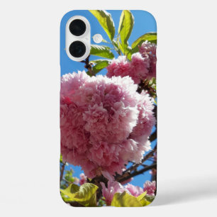 Funda iPhone 16 Plus Árbol de flores rosadas de cerezo silvestre
