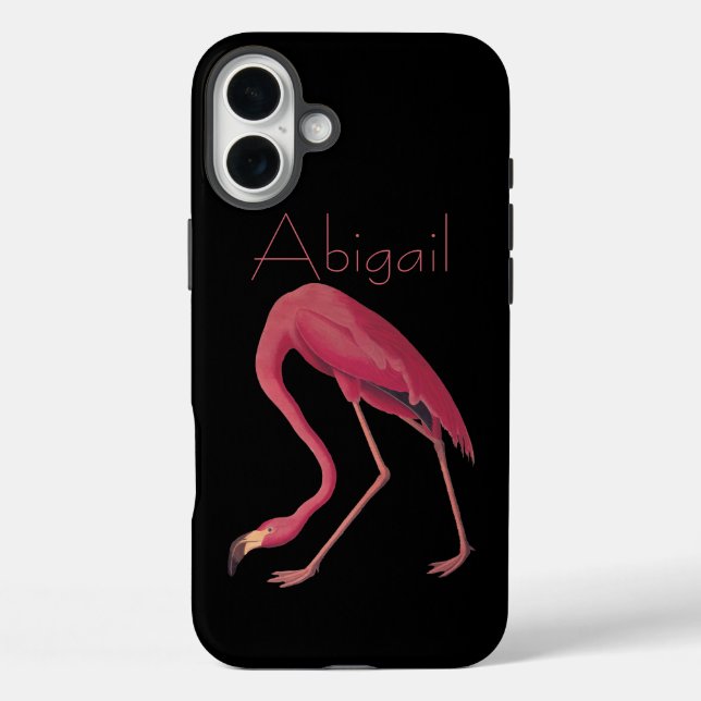 Funda iPhone 16 Plus Aves Audubon del Flamingo Americano (Reverso )