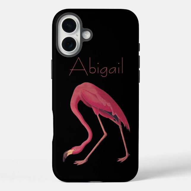 Funda iPhone 16 Plus Aves Audubon del Flamingo Americano (Reverso )