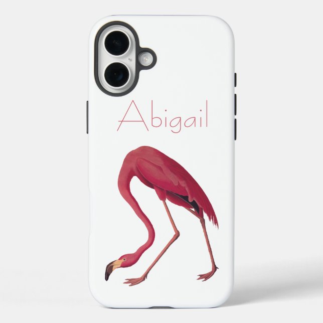 Funda iPhone 16 Plus Aves Audubon del Flamingo Americano (Reverso )