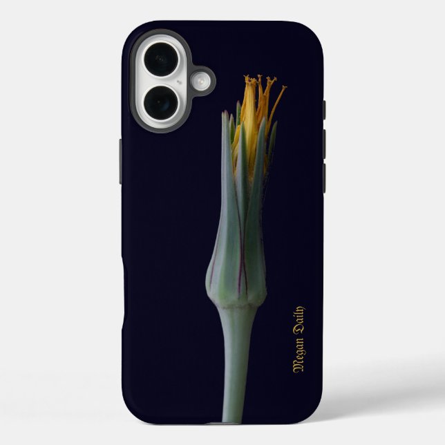Funda iPhone 16 Plus Belleza floral escondida, mujeres elegantes (Reverso )