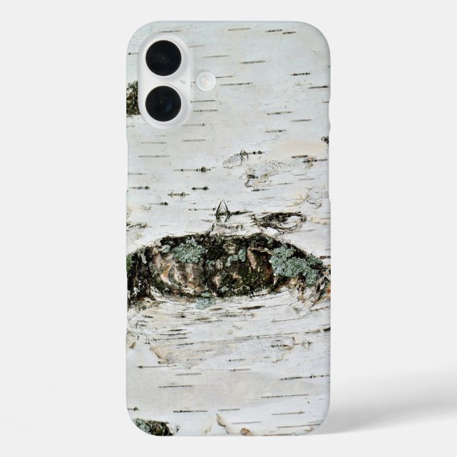 Funda iPhone 16 Plus Birch Wood Nature al aire libre Rústico Guay (Reverso )