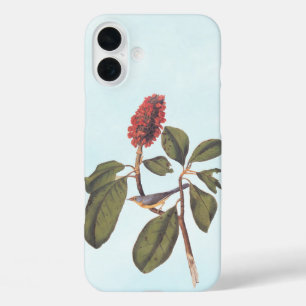 Funda iPhone 16 Plus Bonaparte Flycatcher Canada Warbler Audubon Bird