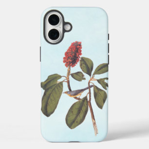 Funda iPhone 16 Plus Bonaparte Flycatcher Canada Warbler Audubon Bird