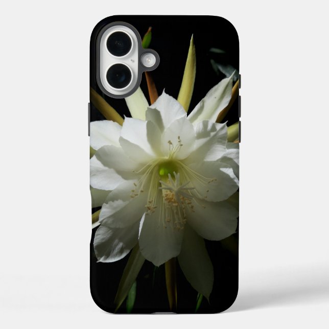Funda iPhone 16 Plus Cactus Bloom (Reverso )