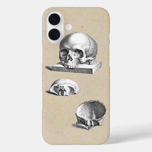 Funda iPhone 16 Plus Calavera humana medieval ilustrada (Reverso )