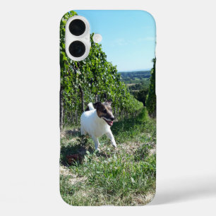 Funda iPhone 16 Plus Capo von Oppenheim Jack Russell Terrier, Perro