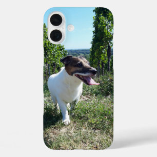 Funda iPhone 16 Plus Capo von Oppenheim Jack Russell Terrier, Perro