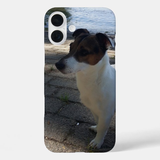 Funda iPhone 16 Plus Capo von Oppenheim Jack Russell Terrier, Perro (Reverso )